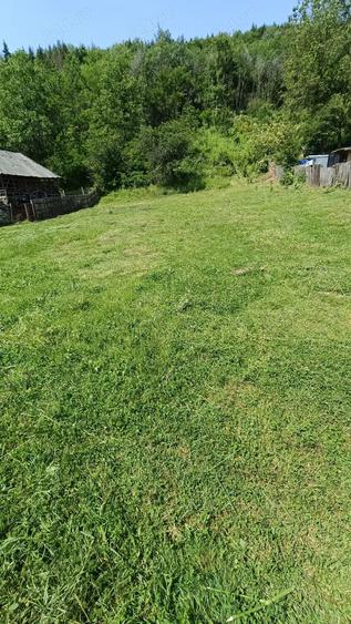 Teren de 4000 mp, în Aninoasa