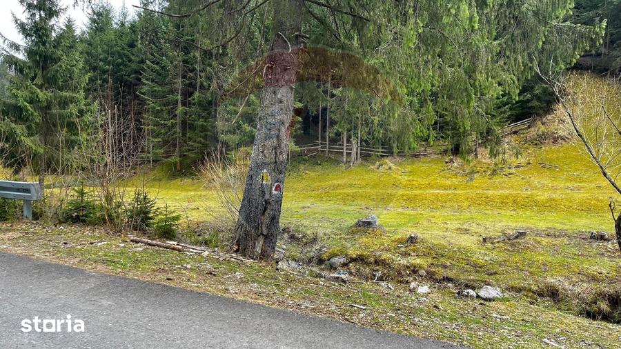 Teren de 4331 mp, în Arieșeni