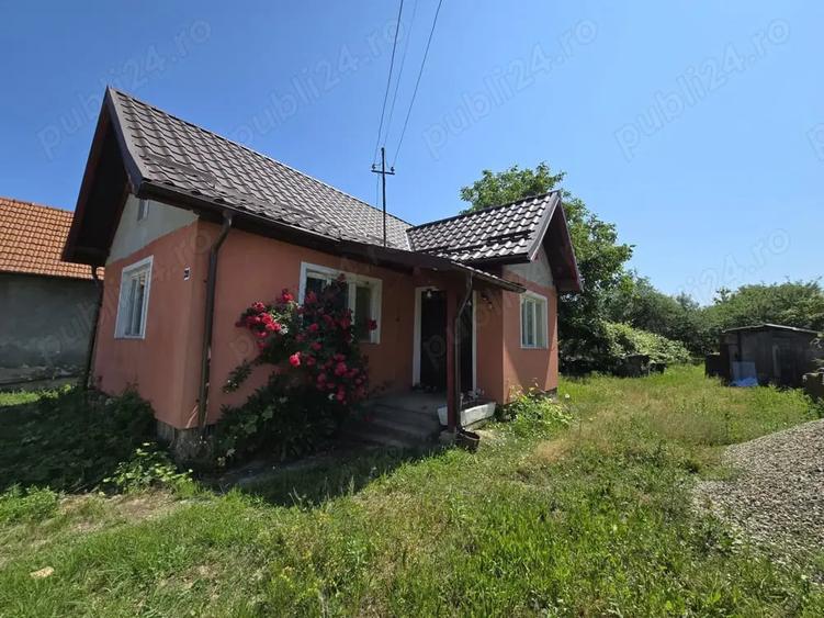 Casă cu 3 camere în Peceiu