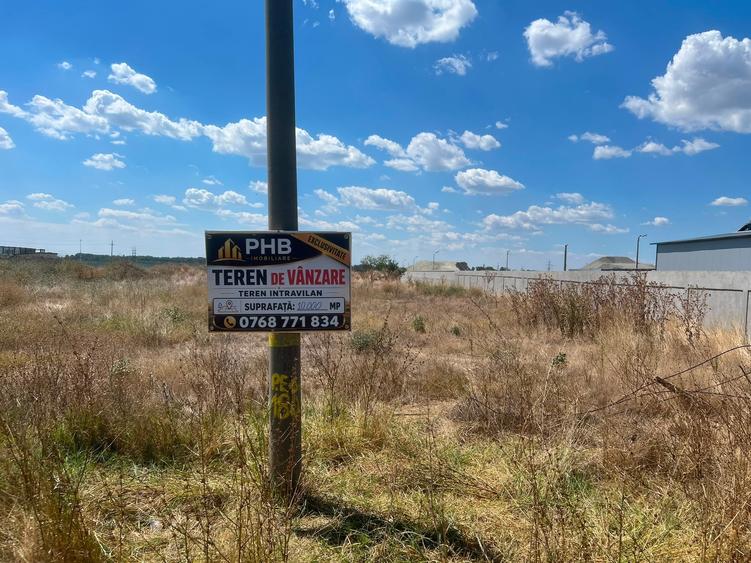 Teren Construcții intravilan de 10000 mp, în Tudor Vladimirescu