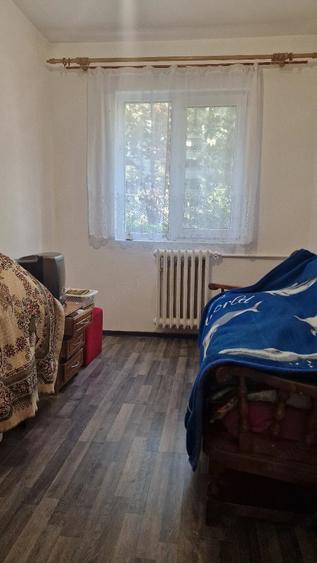Apartament 3 camere, parter,Sagului Piata Doina - 2