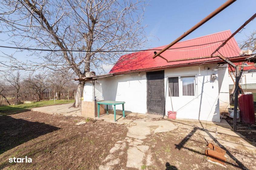 Casa parter + 3.055 mp teren in Costesti - 12
