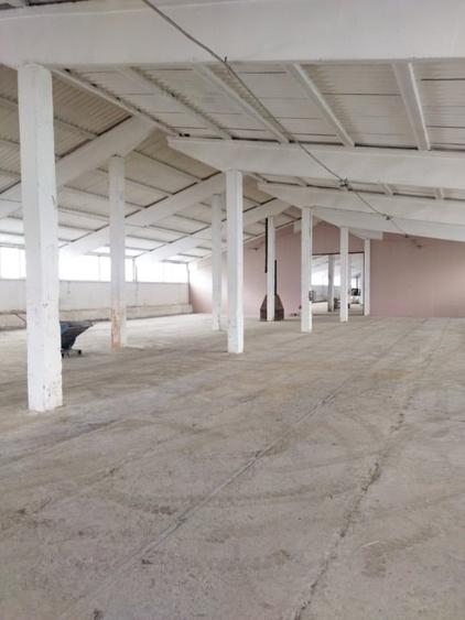 Spațiu industrial, de 1,881 mp, în Cechești