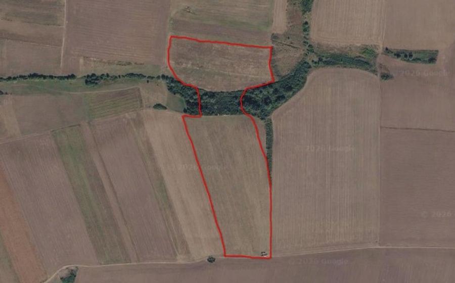 Teren agricol extravilan de 110000 mp, în Topolovățu Mare