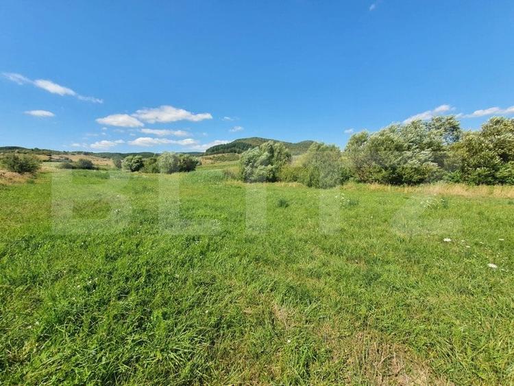 Teren Construcții intravilan de 3100 mp, în Sud