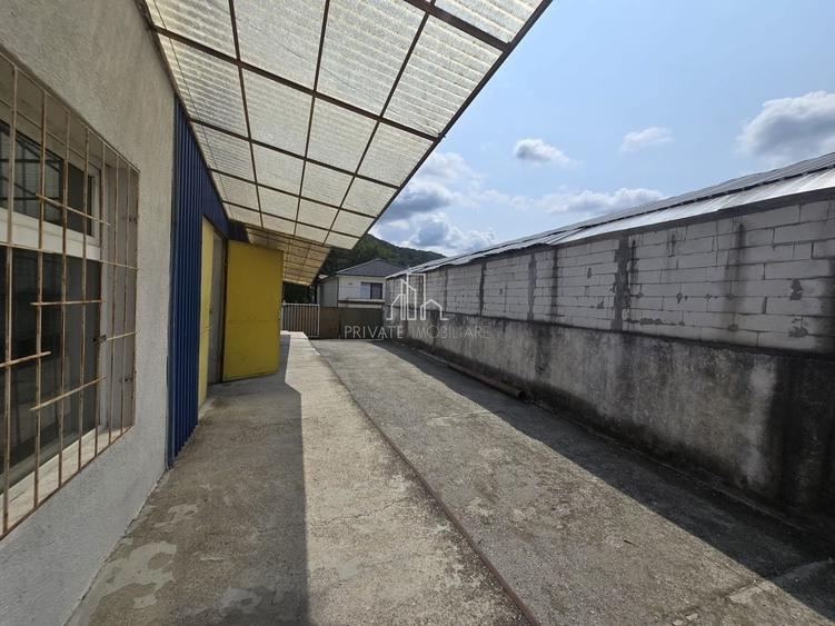 Hala industriala de inchiriat - 7