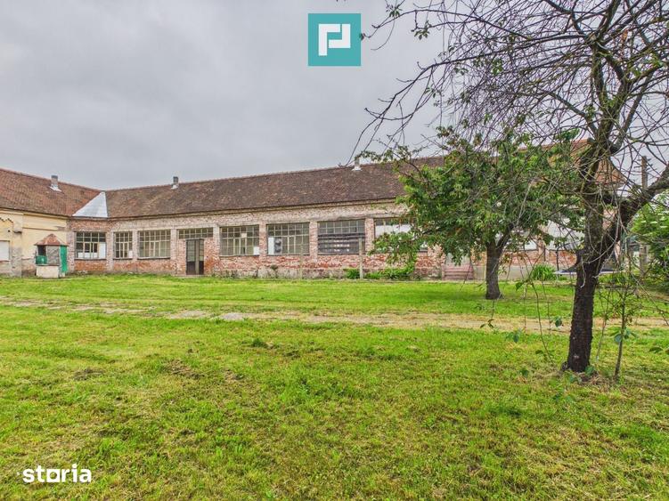 Casă cu Teren 1828 Mp în Zăbrani