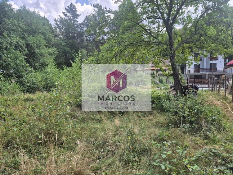 Teren Construcții intravilan de 1000 mp, în Văliug