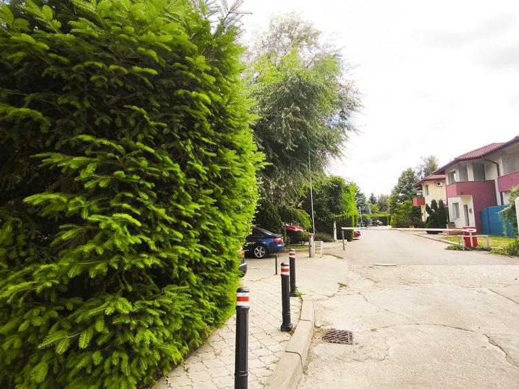 Teren Construcții intravilan de 510 mp, în Băneasa