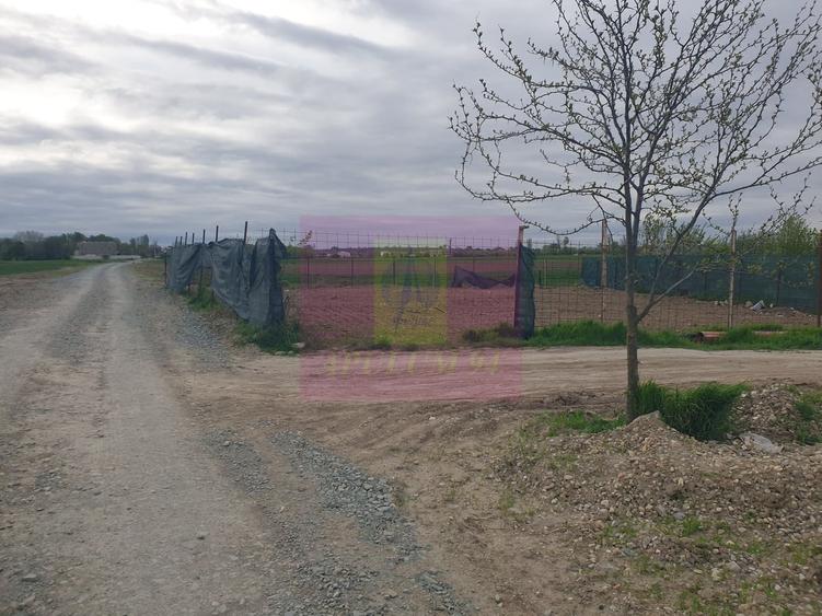 Teren în Măgurele