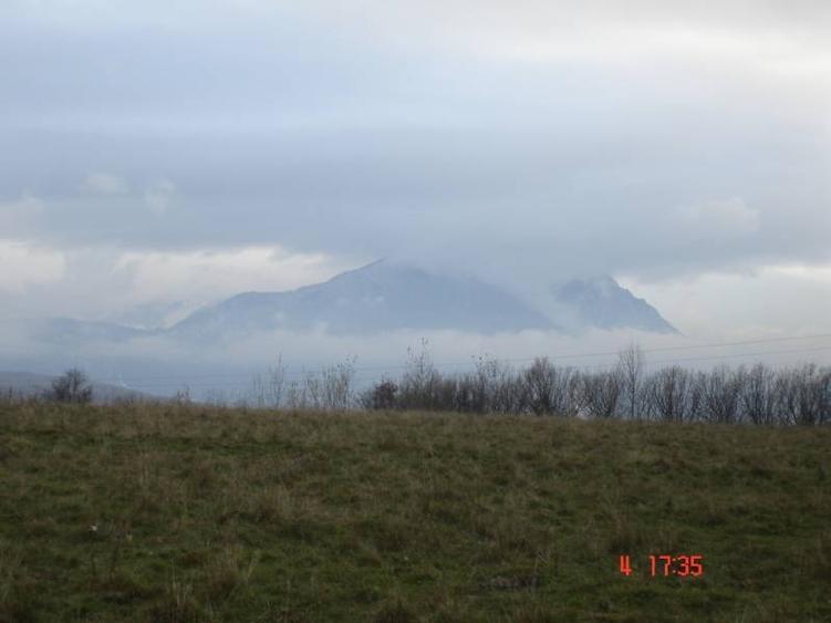 Teren extravilan de 20000 mp, în Râșnov