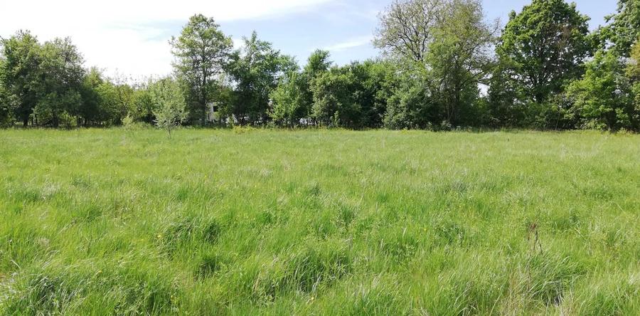 Teren de 11500 mp, în Vărădia de Mureș