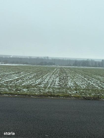 Teren de 30000 mp, în Săucești
