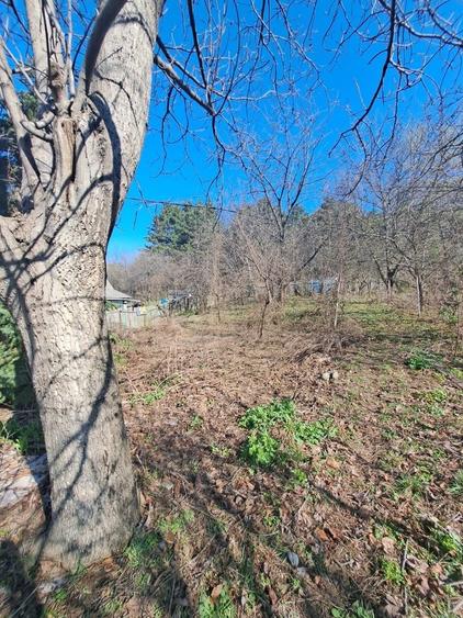 Casă cu 2 camere în Bucium