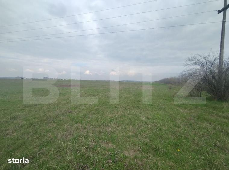 Teren intravilan industrial, Centura de Nord, 2.1 ha, deschidere 41m - 3