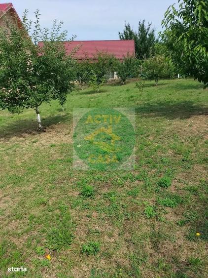 Casă cu 4 camere cu Teren 7000 Mp în Central