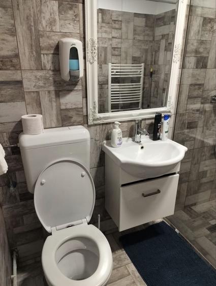 Apartament de inchiriat zona Astra - 10