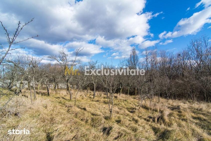 Casă cu 3 camere cu Teren 4145 Mp în Vedea