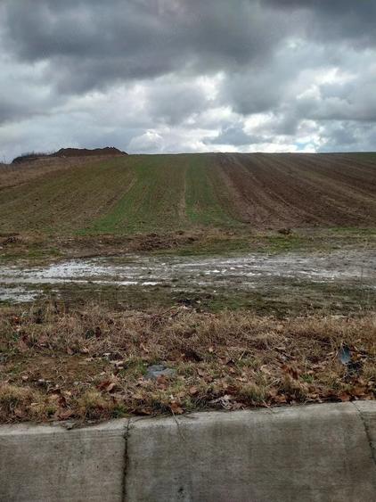 Teren de 2900 mp, în Crișeni