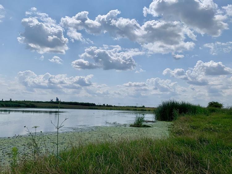 Teren agricol intravilan de 45000 mp, în Crevedia