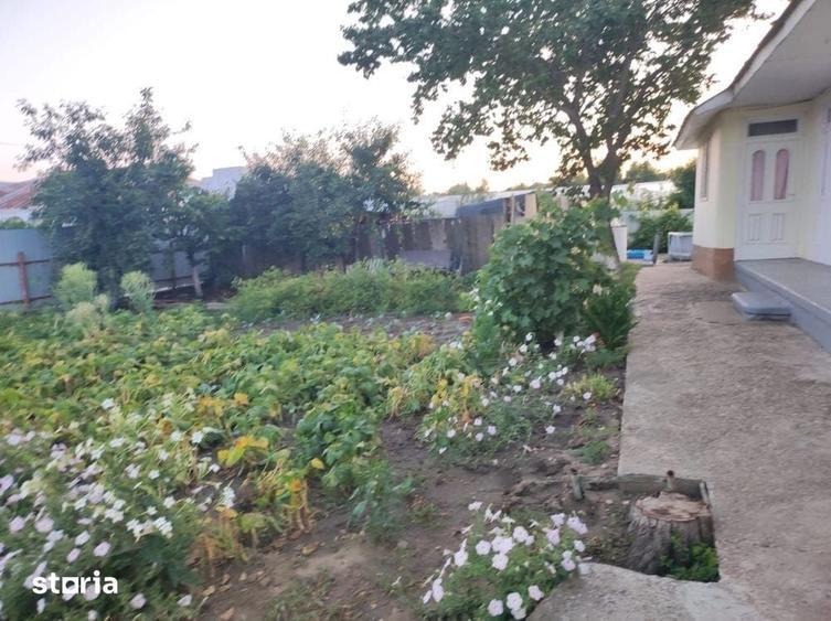 Casă cu 4 camere cu Teren 3538 Mp în Matca