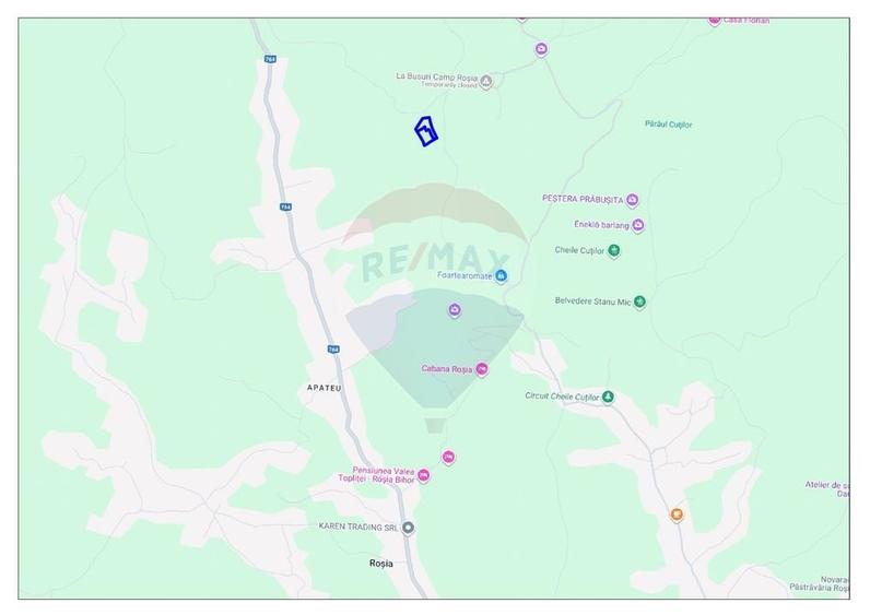 Teren agricol extravilan de 10059 mp, în Roșia
