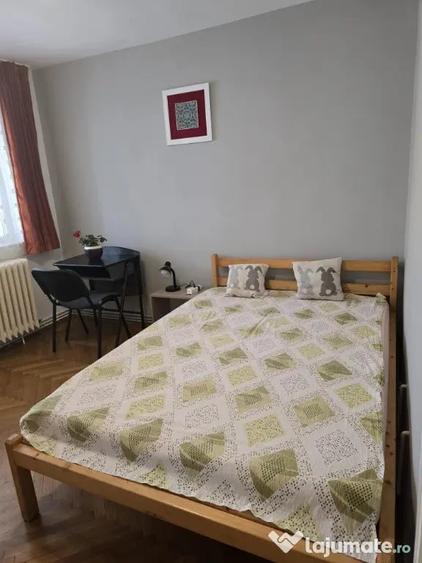 Apartament 2 camere Manastur -Zona Complex Big - 16