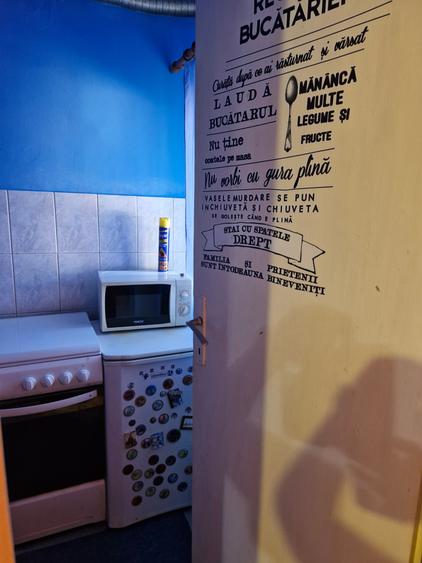Garsonieră nedecomandată în Șagului
