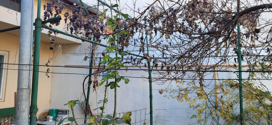 Casă individuală cu 3 camere cu Teren 180 Mp în Republicii