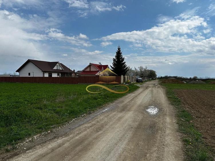 Teren Construcții intravilan de 4374 mp, în Trebeș