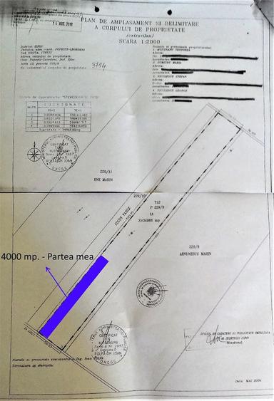 Spațiu comercial, în Central