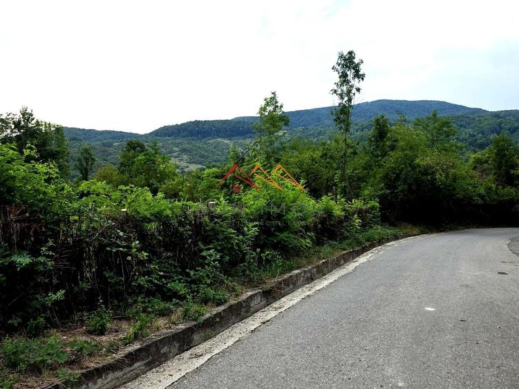 Teren Construcții intravilan de 2600 mp, în Drăgăneasa