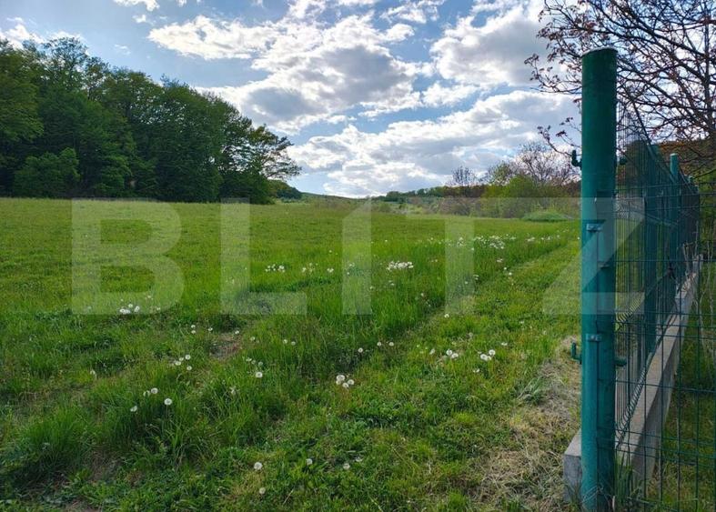 Teren Construcții intravilan de 3000 mp, în Unirii
