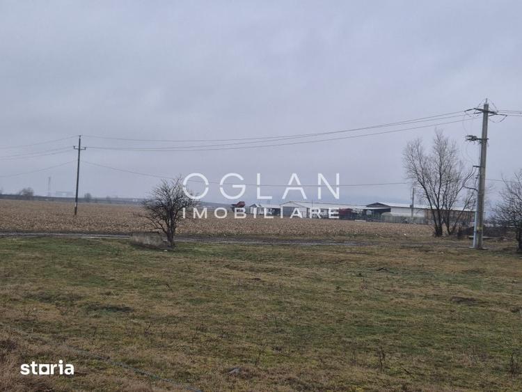 Teren de 11300 mp, în Șelimbăr