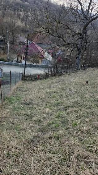Teren de 4400 mp, în Central