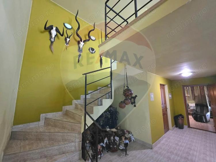 Casă cu 3 camere cu Teren 4534 Mp în Sud