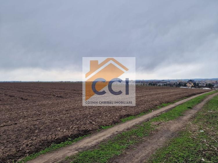 Teren agricol intravilan de 10000 mp, în Vest