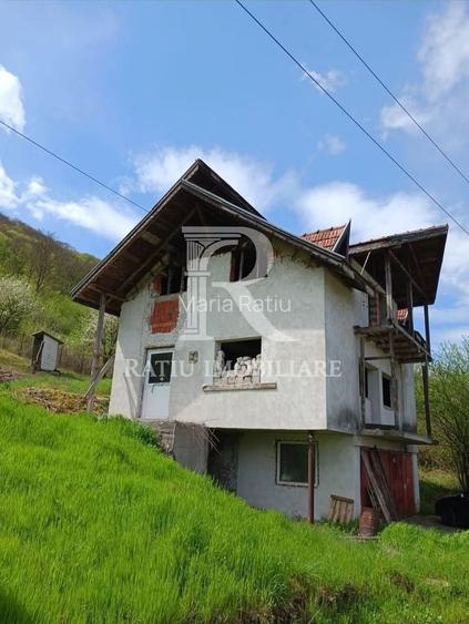 Casa de vanzare la rosu | Teren Intravilan | Vetel | Hunedoara