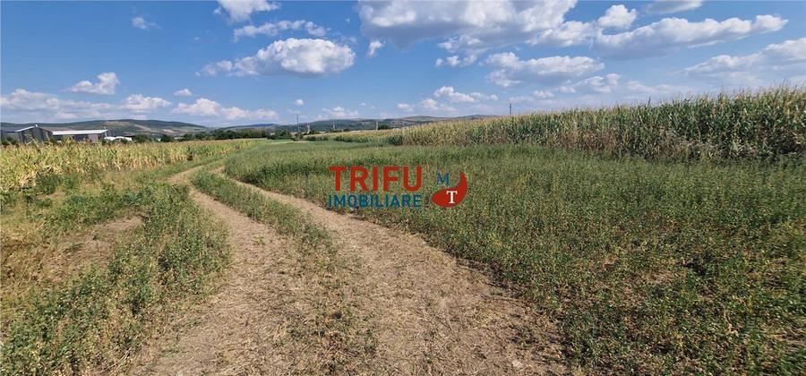 Teren Construcții intravilan de 5900 mp, în Periferie