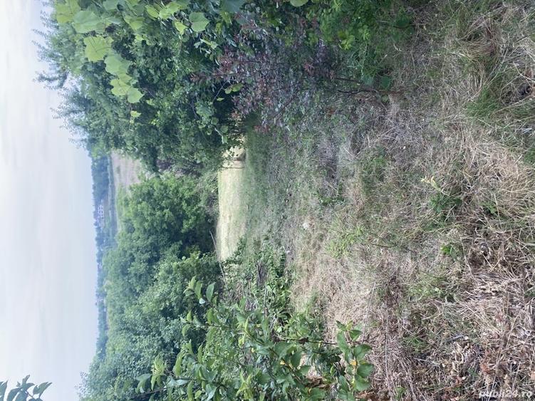 Casă cu Teren 2600 Mp în Periș