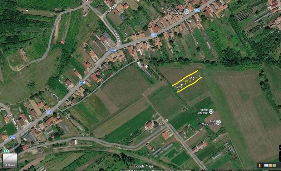 Teren de 1500 mp, în Șard