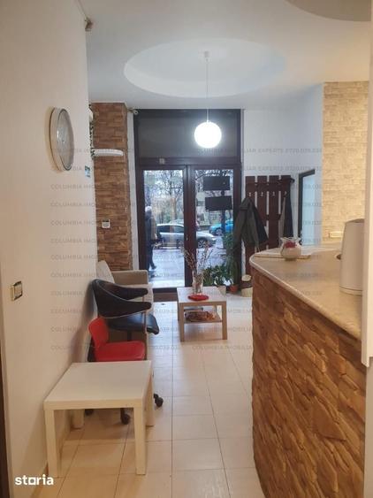 Lacul Tei stradal spatiu comercial - 9