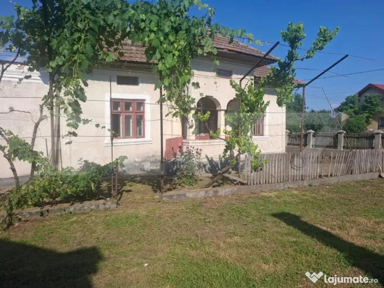 Casa individuala, 100 mp, teren 5000 mp, zona Mogosani - 1