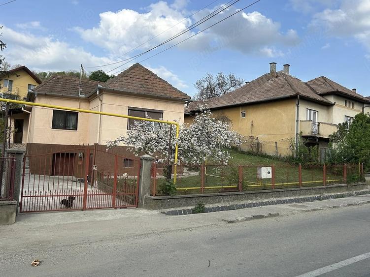 Casă cu 5 camere cu Teren 7000 Mp în Central