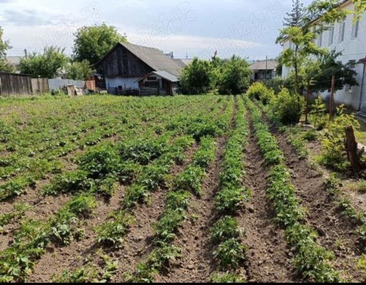 Casă cu 4 camere în Mihăileni