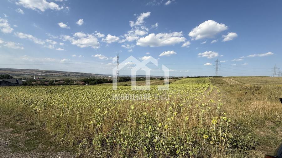 Teren Construcții intravilan de 11600 mp, în Jucu de Sus