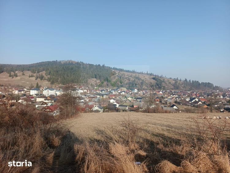 Teren de 3000 mp, în Curtești