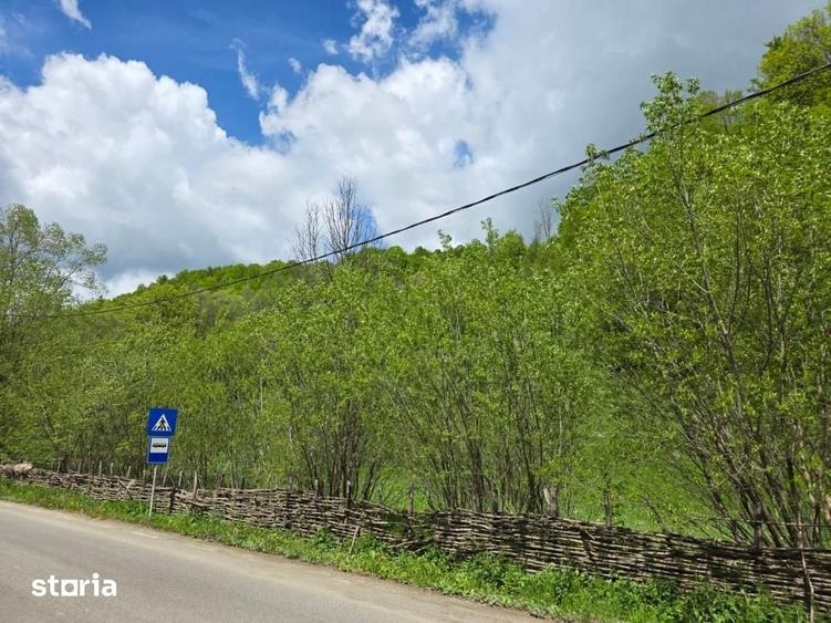 Teren de 3100 mp, în Râmeț