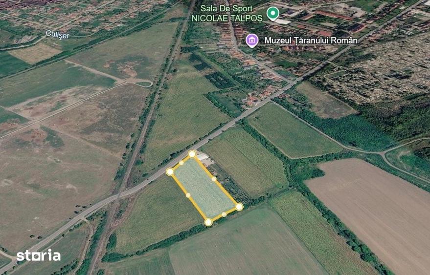 Teren intravilan de vanzare 9800 mp, Salonta, Bihor, GaminvestV4569 - 1