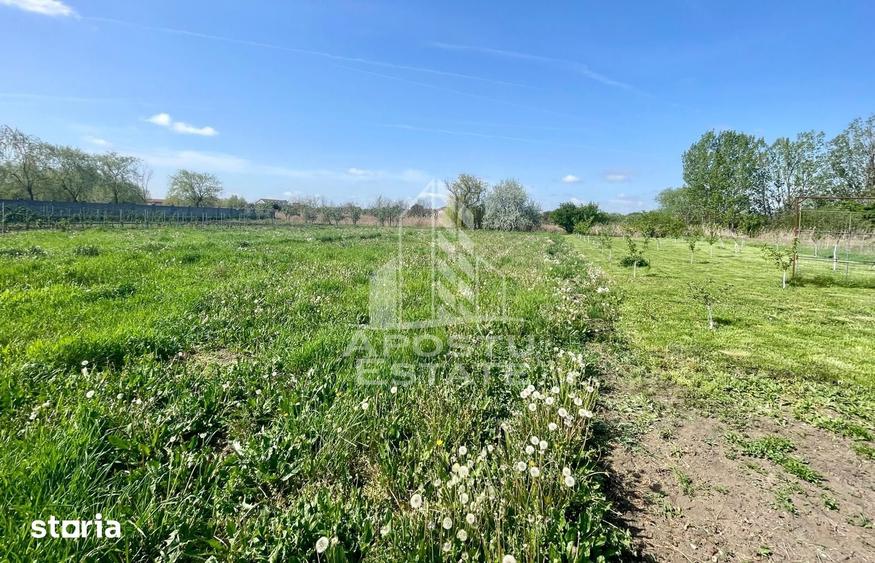 Casă cu 4 camere cu Teren 4898 Mp în Gai